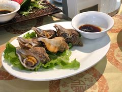海螺肉-添福来墨鱼饺子 · 海鲜东北菜(大连星海·黄浦路店)