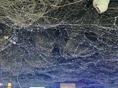 -徐记小怪兽肉蟹煲(中央大街店)