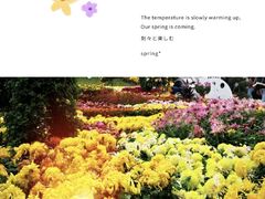 -南山植物园