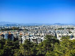 -仙岳公园