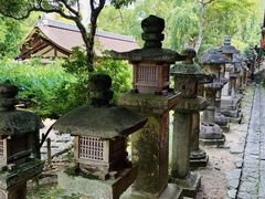 -奈良公园