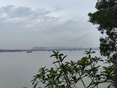 -羚羊峡古栈道森林公园