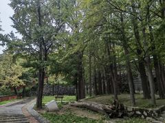 -阳台山自然风景区