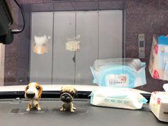-顺风海鲜港(长寿路店)