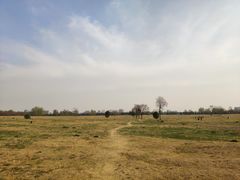 -汉长安城未央宫国家考古遗址公园