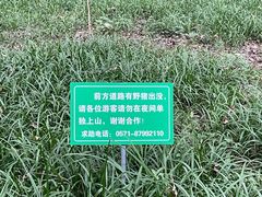 -杭州植物园