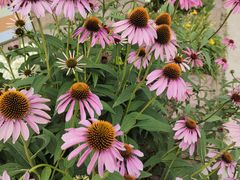 -意大利农场度假村