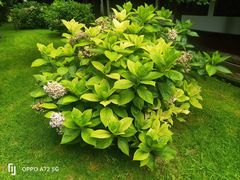 -昆明市金殿名胜区