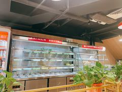 -芙蓉树下·四川冒菜(大悦城店)