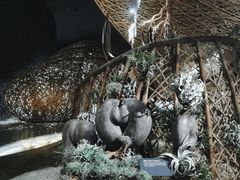 -东平国家森林公园