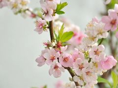 -青岛中山公园-索道售票处