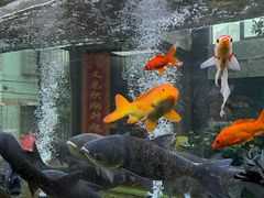 -又见炊烟私房菜(敬亭路店)