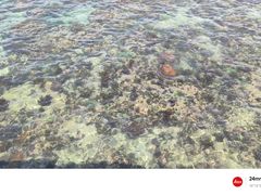 -三亚西岛海洋文化旅游区