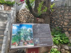 -红螺寺