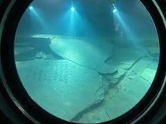 -白鹤梁水下博物馆