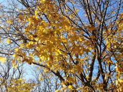 -北京西山国家森林公园