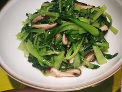香菇炒鸡毛菜-辛香汇(大华第一坊店)