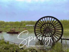 -合肥滨湖国家森林公园