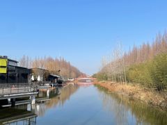 -黄海国家森林公园