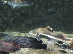 -太平洋海底世界