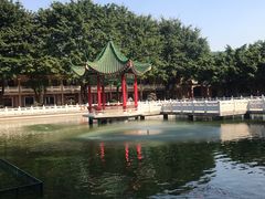 -广东圆玄道观
