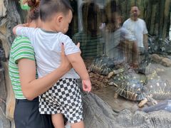 -全聚德(蓝山店)