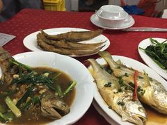 -蛇口康乐快餐鱼仔档(翠苑小区店)
