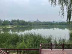 -北坞公园
