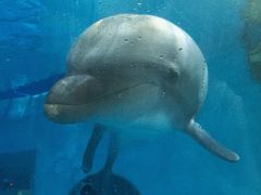 -波塞冬旅游度假区