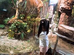 -陕西自然博物馆