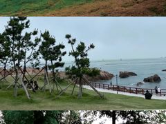 -那香海钻石沙滩浴场