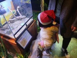 -酷嗒动物文化乐园(cutezoo西溪乐天城店)