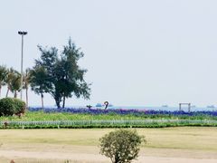 -玫瑰海岸文化旅游度假区