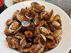 -1937青岛老味道·海肠捞饭·青岛菜(大鲍岛栈桥店)