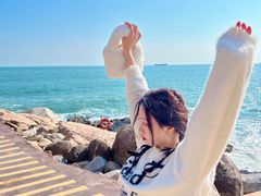 -广东惠东海龟国家级自然保护区