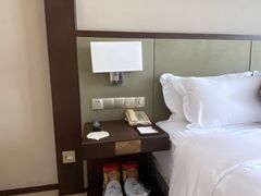 -深圳湾科技园丽雅查尔顿酒店