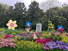 -上海共青森林公园