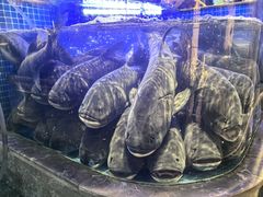 -味钱塘·钱塘渔鲜·地道江浙菜(宋城店)