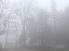 -武陵山森林公园