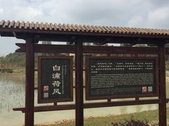 -杏花村文化旅游区