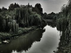 -赵州桥景区