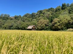 -白川乡与五箇山的合掌构造村落