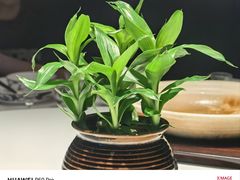 -炳胜品味(珠江新城店)