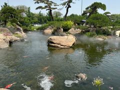 -罗红摄影艺术馆