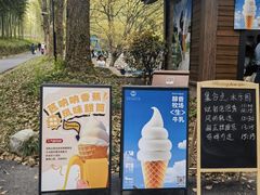 -东明山森林公园