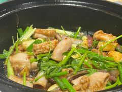 -石岐乳鸽村(南海第三分店)