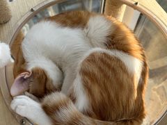 -丹东丛炟海鲜烧烤(江艺路店)