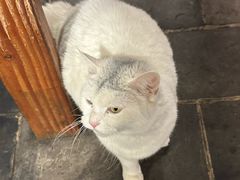 -张记牛肉面馆(天津路店)