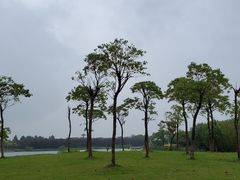 景点-上海都市菜园