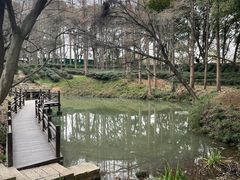 -苏州上方山国家森林公园